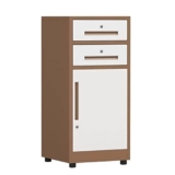 Armadietto sotto la scrivania in acciaio con serratura Divisorio regolabile di grande capacità Nero Marrone 40x39x85cm nize il tuo spazio ufficio in modo efficiente