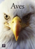 Aves