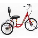 Bicicletta Tre Ruote Adulti, Triciclo Esterno, Bici Crociera con Telaio in Acciaio, Triciclo Adulti, Donne e Uomini, Esercizio, Shopping con Cestino portaoggetti, Ciclismo e pedalata