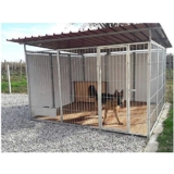 Box per Cani Singolo da Esterno in Rete con Copertura Zincatura a Caldo Dimensioni 300 x 300 x h 180 Cm