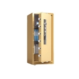 Cassaforte per documenti per ufficio e casa, con serratura di sicurezza meccanica, grande armadio di sicurezza (oro, lunghezza x larghezza x altezza: 65 x 55 x 180 cm)