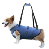 Coodeo Imbracatura per sollevamento cani, supporto per animali domestici e riabilitazione Cinghie imbottite regolabili e traspiranti per cani anziani, disabili, lesioni alle articolazioni (blu, XS)