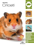 Criceti: Caratteristiche – Comportamento – Allevamento – Riproduzione – Alimentazione – Igiene – Salute