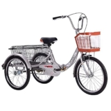 DINNA Tricicli Adulti 20 Pollici Bici 3 Ruote Triciclo velocità Singola Bicicletta Crociera Cestino Grandi Dimensioni Esercizi Shopping ricreativo Uomo Donna, Triciclo,Silver