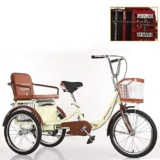 DINNA Triciclo Adulti 20 Pollici Cesto Sedile Posteriore Tre Ruote Bici Crociera Doppia Catena Uomo Donna Ricreazione Shopping Esercizio, Triciclo