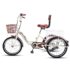 Fafrees Bici Elettrica Pieghevole Due Batterie 48V/12Ah×2 Bicicletta Elettrica, 20″×4.0 Fat Tire, Autonomia di 160km, Fat Bike Ebike per Adulti Uomo Donna, con Schermo LCD, Specchietti,Caschi,Grigio