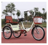 DINNA Triciclo Adulti Pieghevole 20 Pollici Robusto Cestino della Spesa Pedale Bici 3 Ruote velocità Singola seggiolino Bambini carico Anziani 190 kg, Triciclo