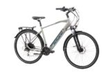 F.lli Schiano E-Wave, Bici Elettrica da Trekking 28 Inches per Adulti, 36V 11.6Ah Batteria Rimovibile, Motore 250W 50Nm, Trekking Ebike, Argento