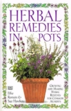 Herbal Remedies in Pots