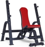 JKJZSALJ Panca Multifunzione per Pesi, Bilanciere, Panca per Squat, Panca con Manubri, Sedia per Fitness, Attrezzatura per Fitness, Panca con Manubri (Rosso 1477450 Cm)