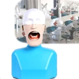 JNPGVTCD Modello di Testa di manichino Dentale, Modello con simulatore di Allenamento del Corpo e delle Spalle per l’insegnamento ai Dentisti