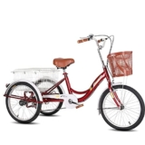 Lussuosa bicicletta a tre ruote, 50,8 cm, per adulti, telaio in acciaio al carbonio, bici da adulto a 3 ruote con cestino grande, bici da crociera a tre ruote, per anziani, donne e uomini (A)