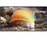 MTHHSXB Schermo Lavabile per proiettore Home Theater Schermo per proiezione Esterno Pieghevole Facile 60 72 84 100 120 150 Pollici Tessuto per proiettore Smart Home (100 Pollici)