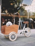 PASPRT Carrello per Cani Portatile per Cani di Piccola e Media Taglia, carrelli per Bici da carico, Camion per Triciclo, Bici da carico a 3 Ruote, Carrello per Biciclette (Beige)