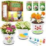PYEF CRAFTS Kit Giardinaggio Bambini Laboratorio dei Fiori – Kit Piante Bambini Gioco Crea Fiori – Flower Gioco & Orto in Serra Bambini – Kit Creativi Orto in Casa – Set Pittura e Coltivazione