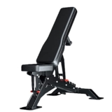 Panche addominali, Sedia da palestra per fitness Tubo in acciaio spesso 2,5 mm Panca professionale regolabile Sgabello con manubri Attrezzatura per il fitness commerciale (Nero)