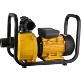 Pompa d’Acqua Portatile Motopompa Autoadescante Pompa Max. Prevalenza 25 M Pompa da Giardino per Irrigazione da Giardino Piscina 2/3/4 Pollici (50/75/100 Mm),2.2kw-220V-2inch