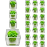 PremiumRose 25 Cubi Rosa Verde Stabilizzata e Profumata da 8 cm con Rosa Eterna Vera, Idea Regalo Mamma, Fidanzata, Amica, Idea Regalo per Compleanno, Laurea, Matrimonio, Made in Italy (25 Pezzi)