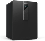 RWCCCRW Famiglia Chiave Impronta Digitale Password, Pistola, Cassaforte per Armi, Armadi Domestici, Ufficio, Cassetta di Sicurezza, Cassaforte per Documenti