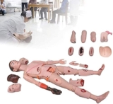 Scheletro didattico Modello 170CM Simulatore Cura paziente Manichino Infermieristico Multifunzionale Addestramento anatomico Medico Modello Umano con organi Vitali