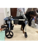 Sedia a rotelle per animali domestici paralizzati, per cani di piccola, media e grande taglia, carrello per cani con supporto completo regolabile per camminare, strumento di supporto per la mobilità