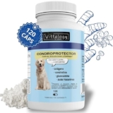VITTALOGY Condroprotettore per cani. Antinfiammatorio naturale con collagene, condroitina, ialuronico e curcuma. Integratore alimentare per fianchi, articolazioni e cartilagini – 120 capsule