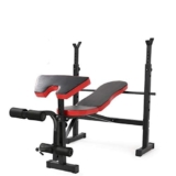 WALFREW Panca Il Letto Pesi Multifunzionale, Casa Pieghevole Panca Supporto Pesi Tenuta Piatta Obliquo Bicipite Rampa-Squat Attrezzi Fitness