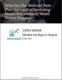 What Are The Medicaid State Plan Options For Developing Home- & Community-Based Service Programs? An OPEN MINDS Market Intelligence Report (OPEN MINDS … Reports Book 2015) (English Edition)