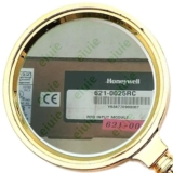 eiuie 621-0025RC RTD Input Module