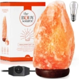 the body source Lampada di Sale Himalayano (3-5 kg) con Varialuce, Completamente Naturale e Realizzata a Mano con Base in Legno